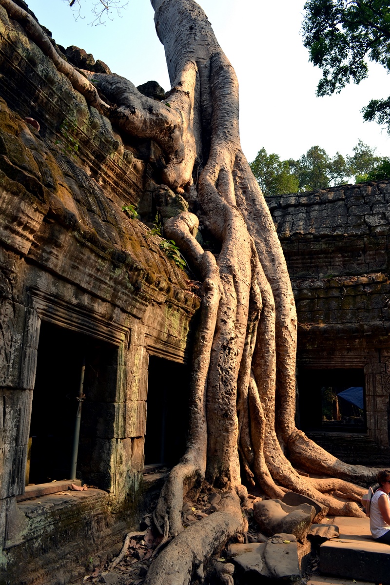 angkor-temple-cambodge(19)