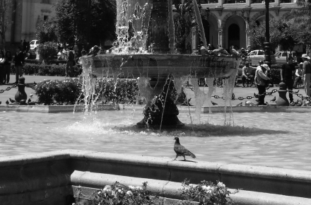 arequipa(8)