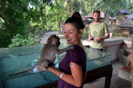 bali-ubud-batur-agung(8)