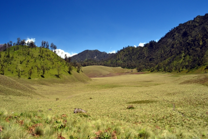 tenger-bromo-semeru(26)