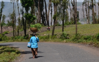 tenger-bromo-semeru(3)
