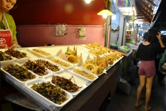 thailande-chiang-mai-rai-(17)