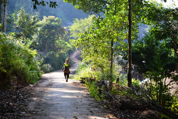 thailande-chiang-mai-rai-(23)