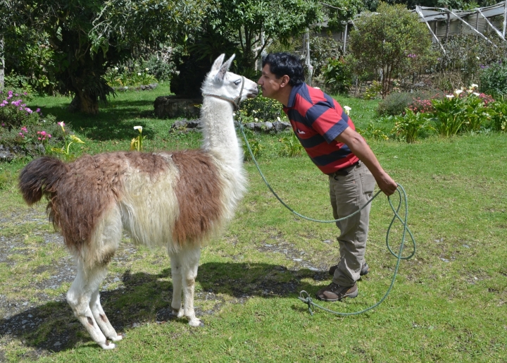 equateur-banos-cuenca(3)