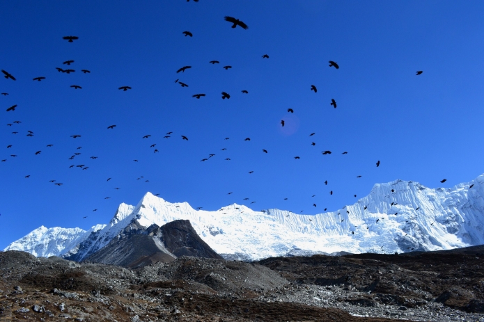 everest-1(20)