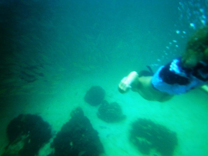 koh-tao-phangan(6)