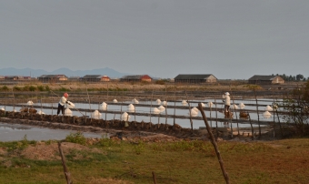 kampot-rabbit-island(11)