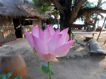 kampot-rabbit-island(15)