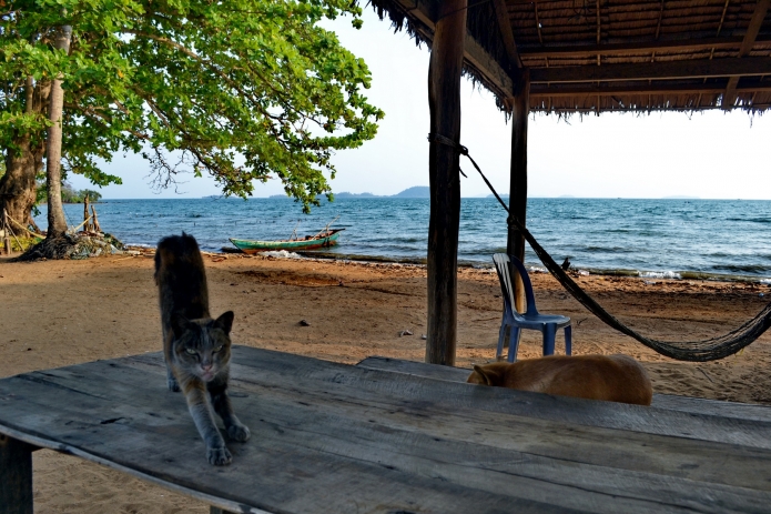 kampot-rabbit-island(31)
