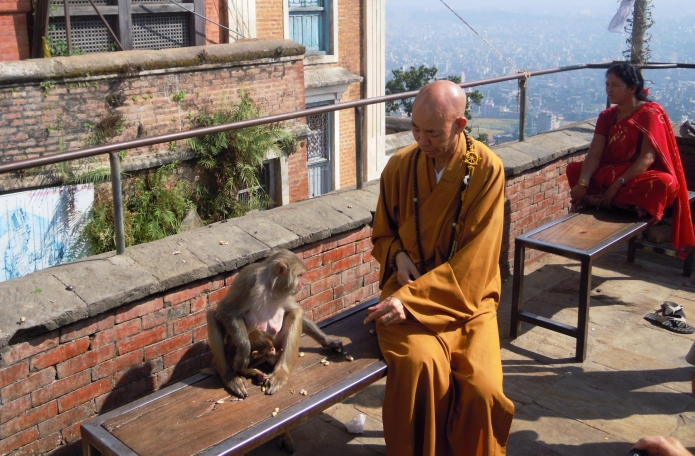 katmandou-temple-monkey(34)