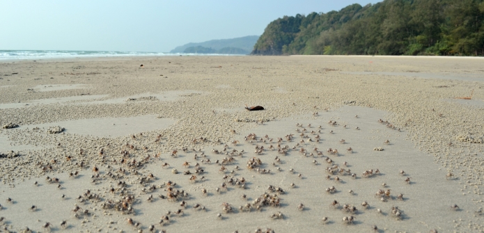 thailande-ko-tarutao-(27)