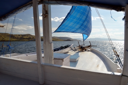 komodo(14)