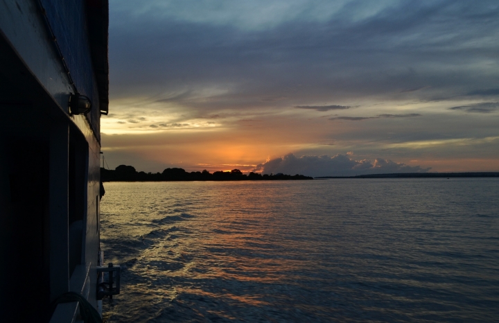 komodo(36)
