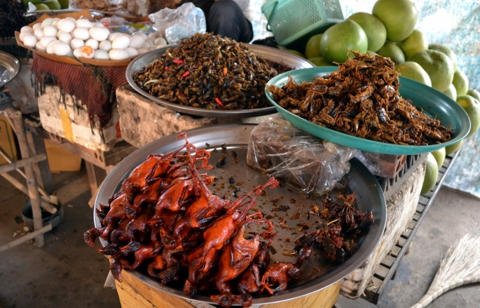 Kratie-mekong(2)