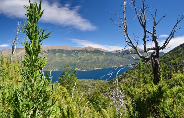 Stitched Panorama