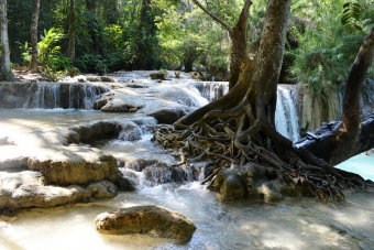 luang-prabang(27)