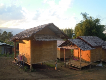 pai(11)