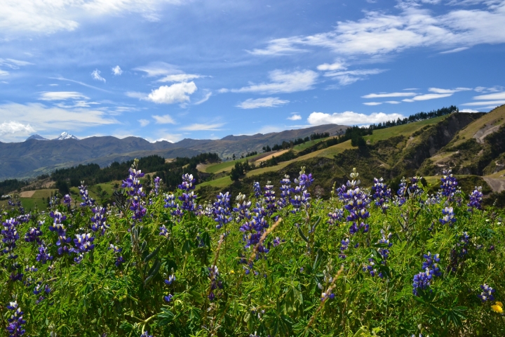 equateur-quilotoa-trek(10)