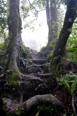 lombok-rinjani-trek(2)