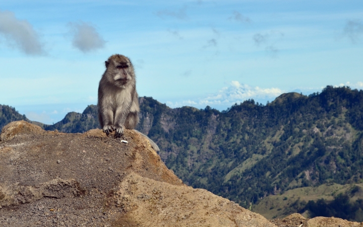 lombok-rinjani-trek(33)