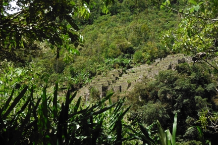 salkantay-macchu(14)