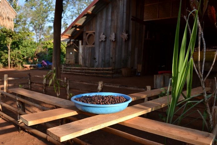 laos-bolovens-tadlo(9)