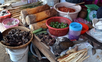 laos-loop-konglor-(18)