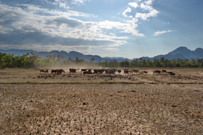 laos-loop-konglor-(35)