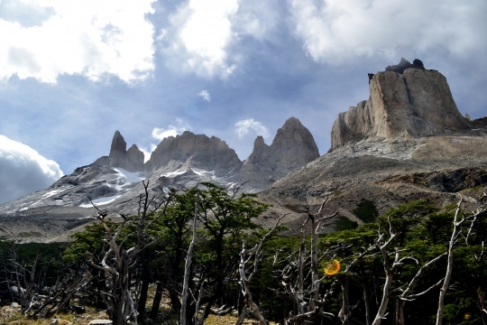 torres-del-paine-moreno15