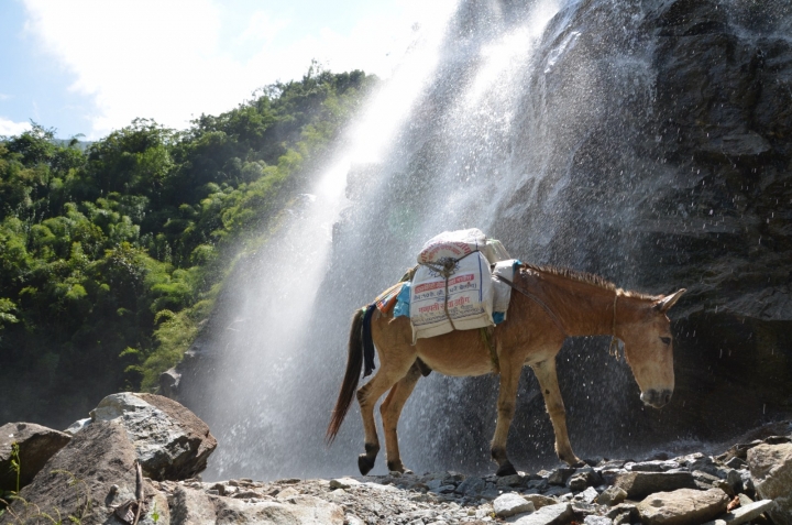 Tour-des-annapurna(130)