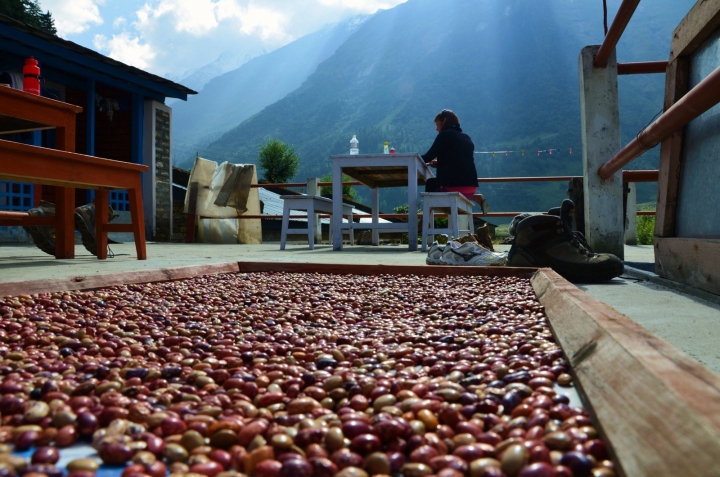 Tour-des-annapurna-(38)