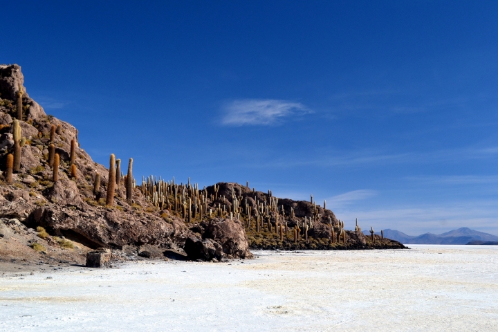 uyuni-15