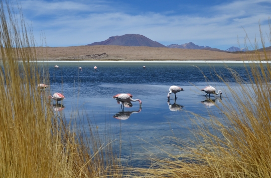 uyuni-34