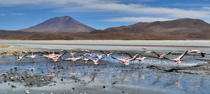 uyuni-43