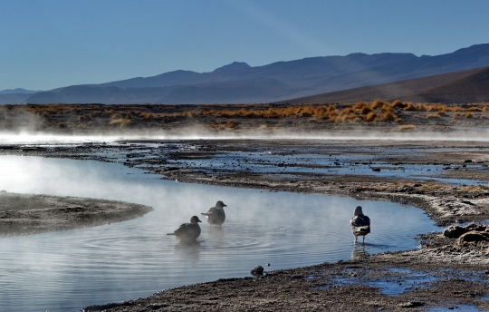 uyuni-54